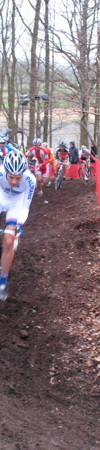 HOOGEREIDE NIELS ALBERTS